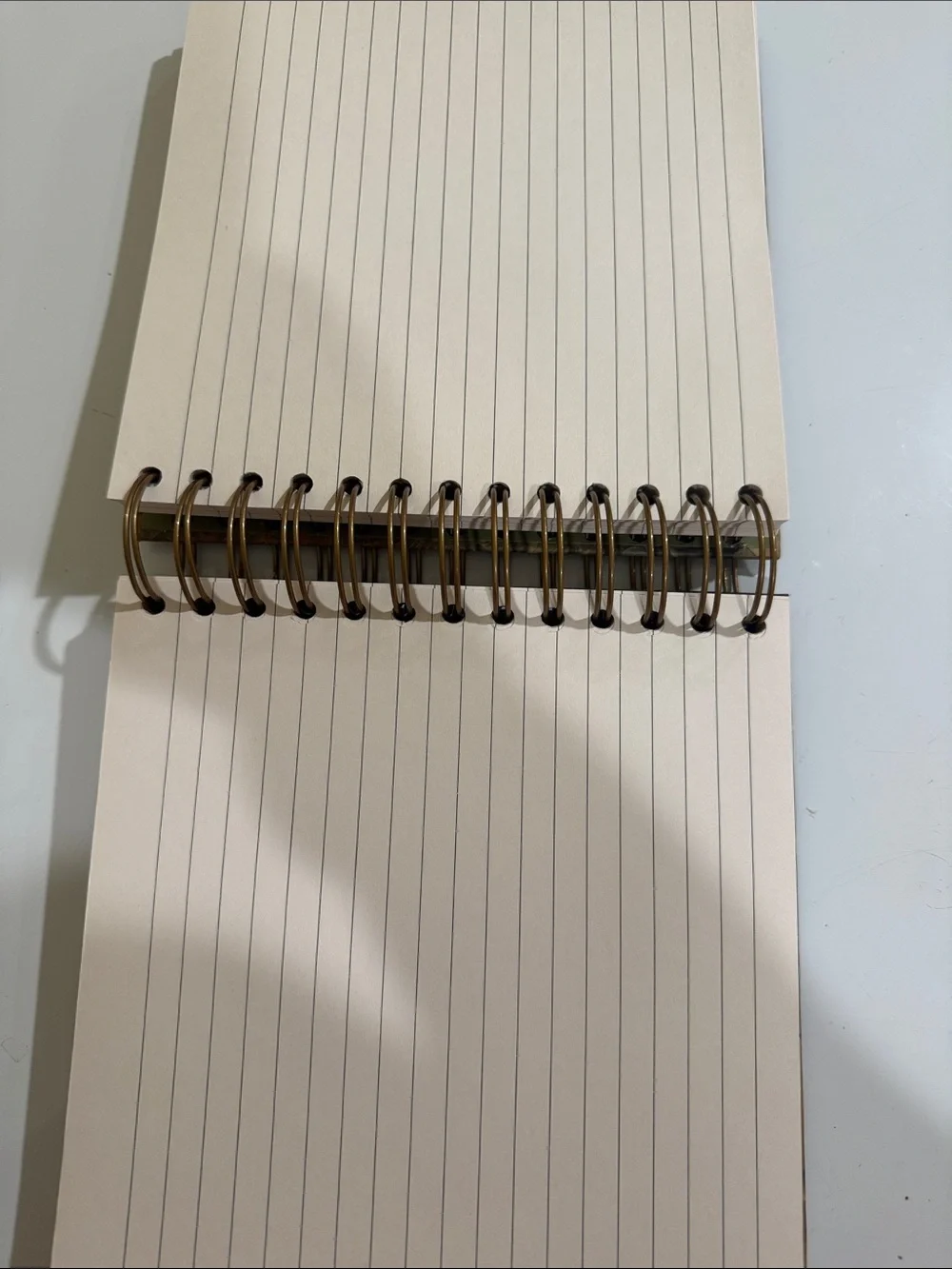 Gold Pug Spiral Notebook — Decorative Journal
